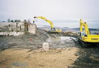 ASARCO Smelter Remedial Action Oversight, Tacoma and Ruston, WA