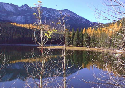 Lead Paint Risk Assessment and Stabilization, Malheur National Forest, John Day, OR